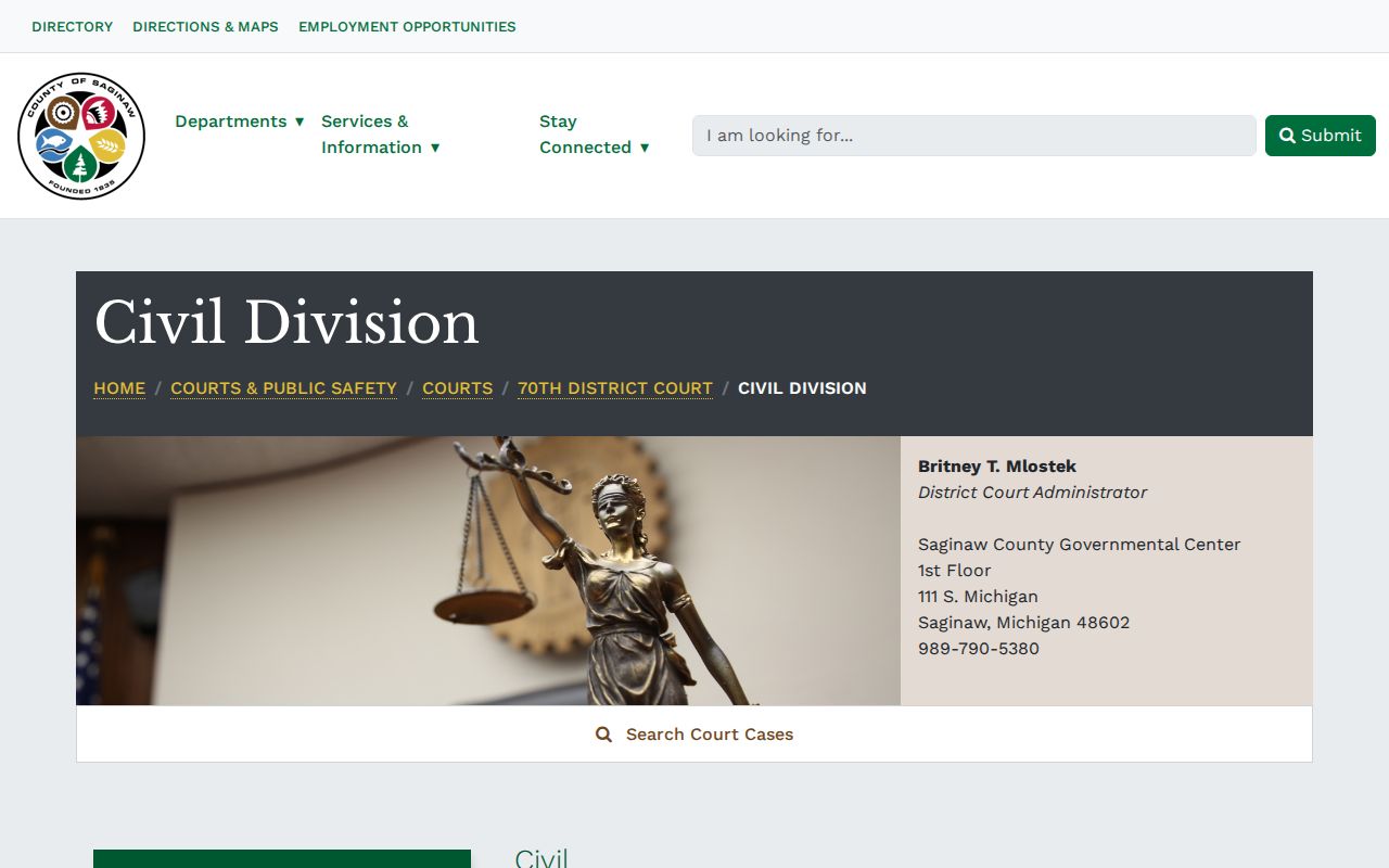 Saginaw civil court docket civil division records