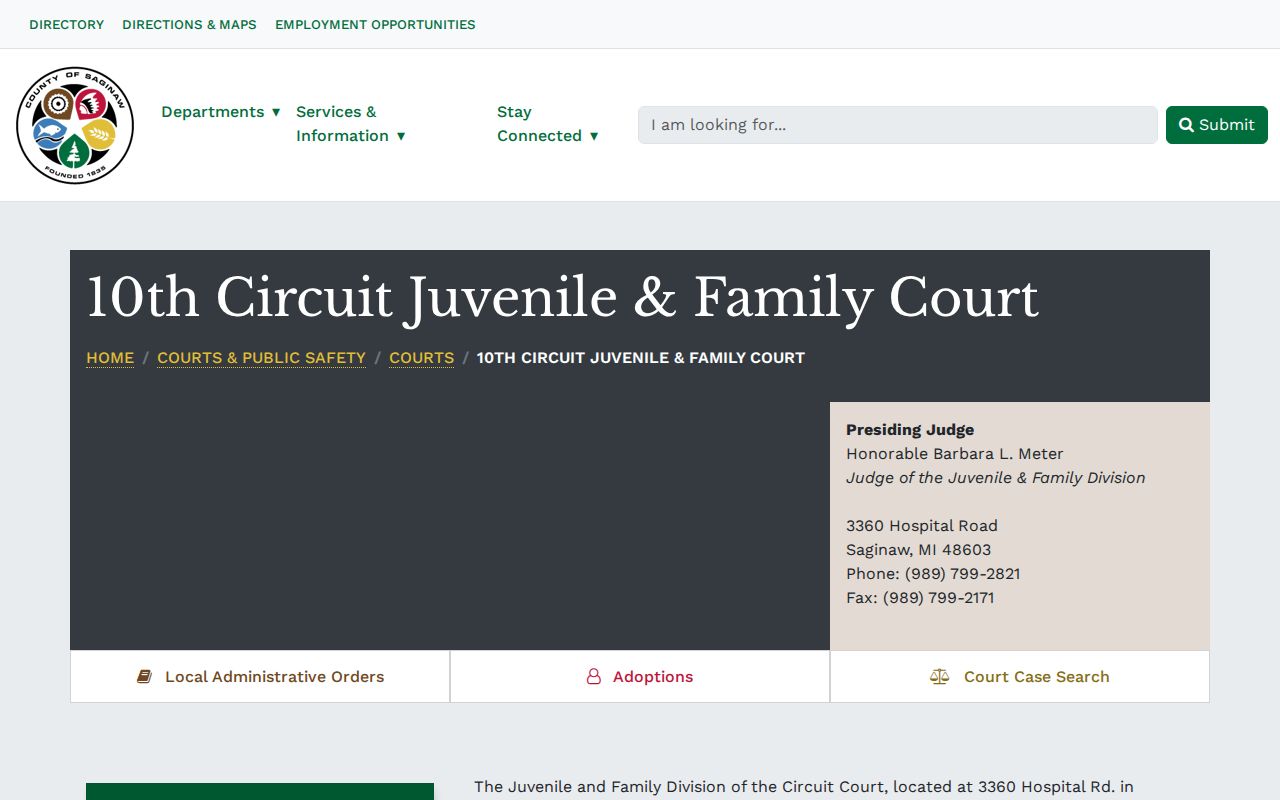 Saginaw civil court docket Juvenile and Family Court