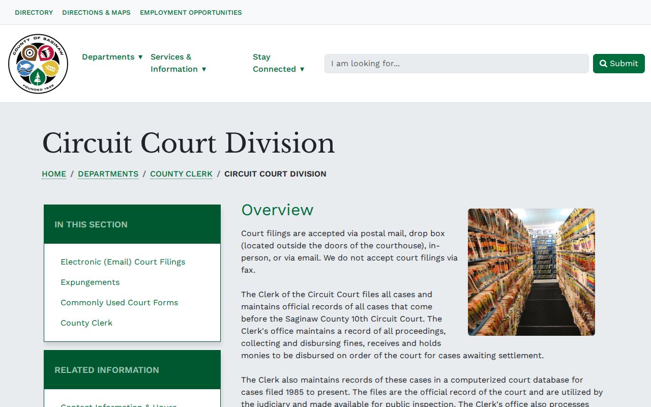 Saginaw court records circuit records access instructions