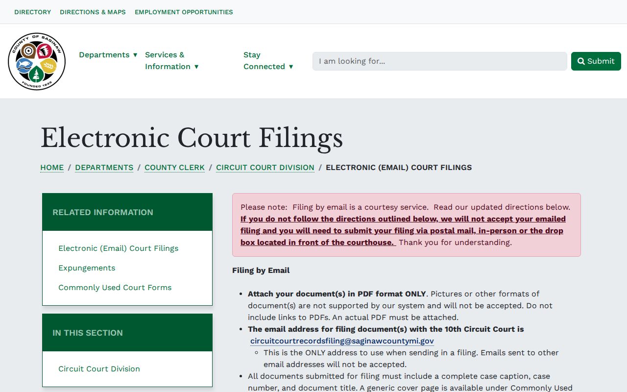 Saginaw court records PDF email filing instructions