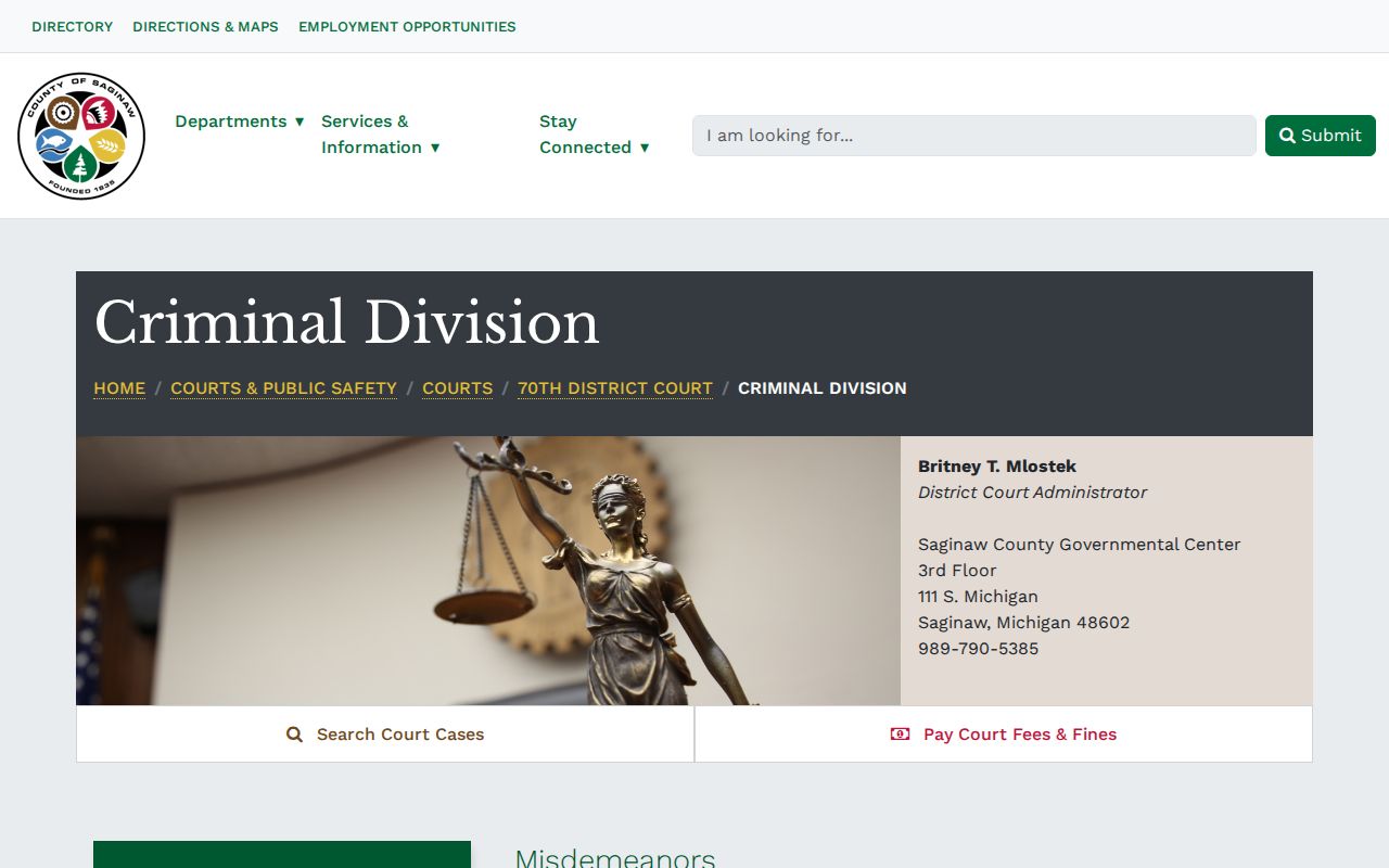 Saginaw criminal court docket District Court criminal division