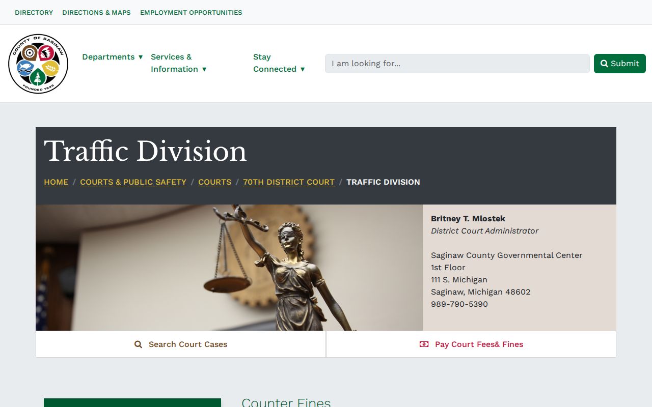 Saginaw traffic court records 70th District traffic division